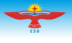 Read more about the article ESU PRESENT ANNUAL REPORT TO EU COMMISSION